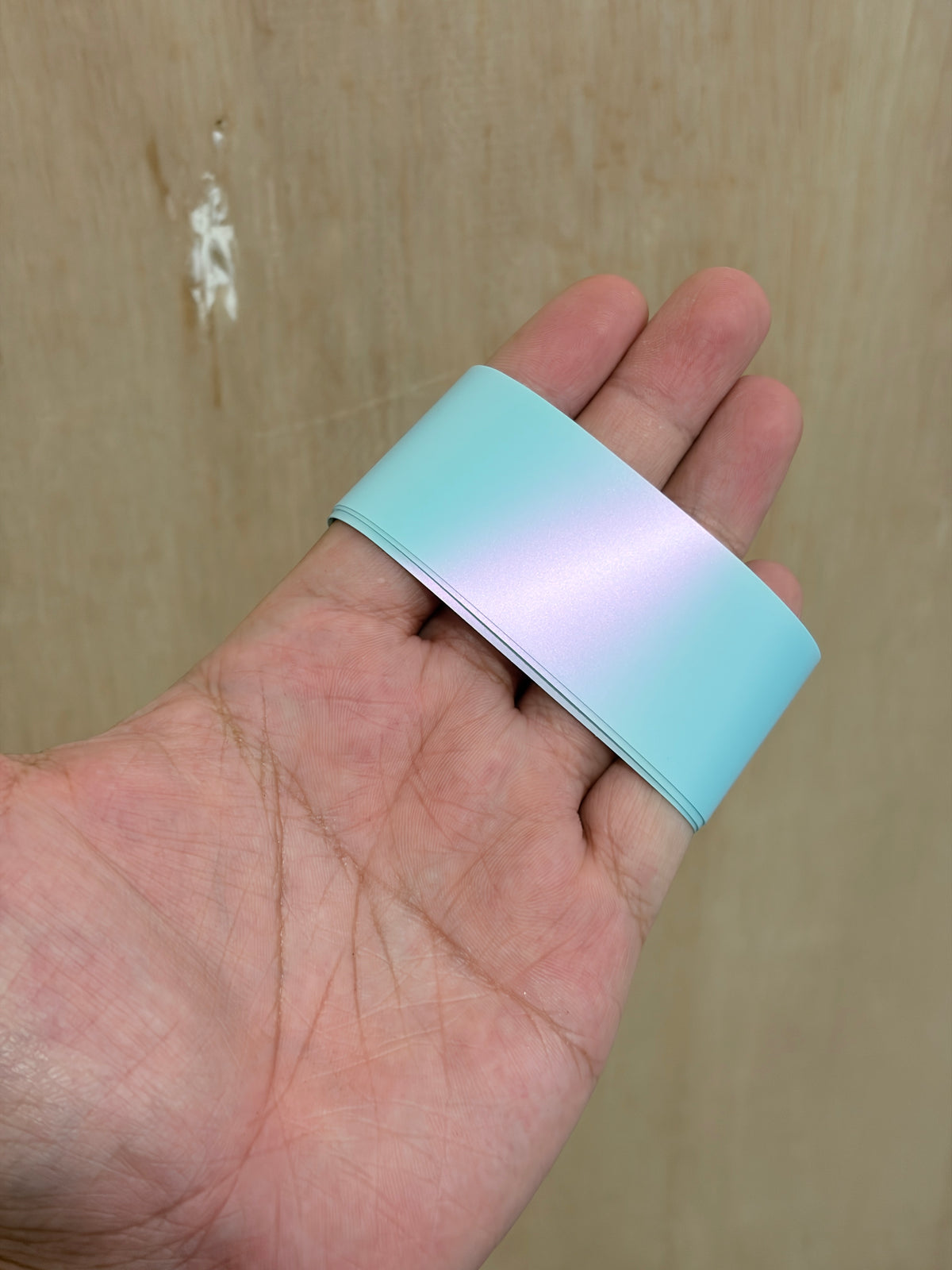 PPF Edge Guard